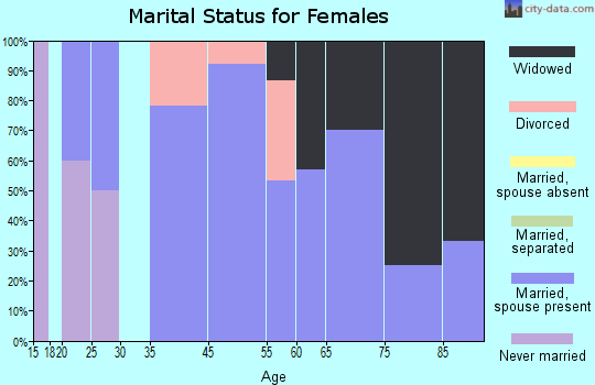 Michigamme marital status for females