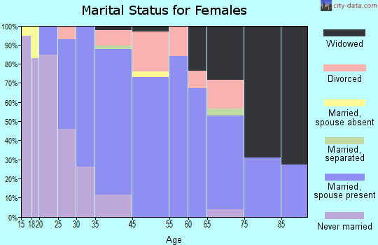 Michigan Center marital status for females