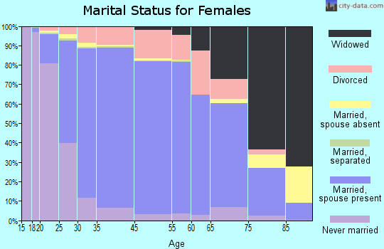Rochester Hills marital status for females