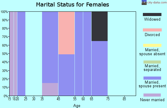 Willow Valley marital status for females