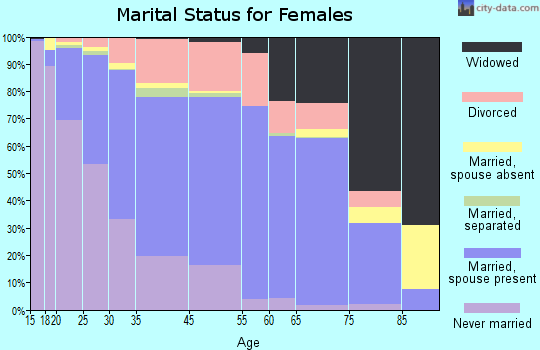Brooklyn Center marital status for females