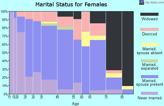 Chisago City marital status for females