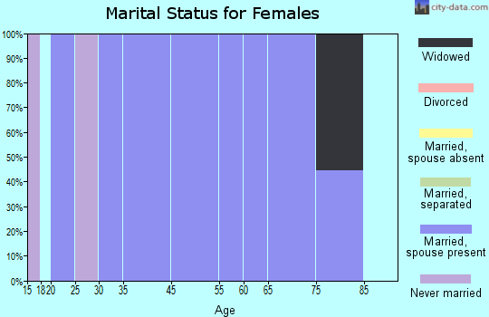 Comstock marital status for females