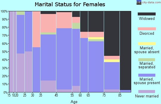 New York Mills marital status for females