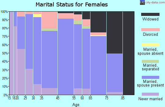 Silver Bay marital status for females