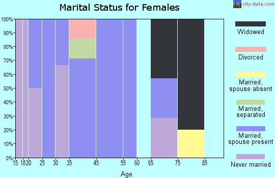 South Haven marital status for females