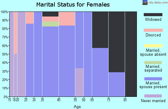 Detroit marital status for females