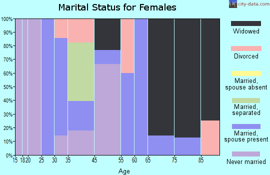 Silver City marital status for females