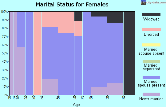 Snow Lake Shores marital status for females