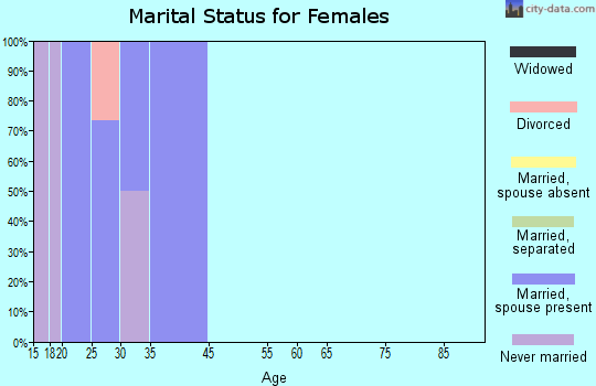 Boys Town marital status for females