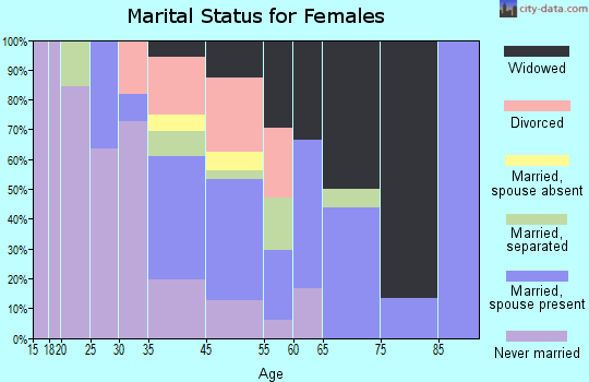 Lake View marital status for females