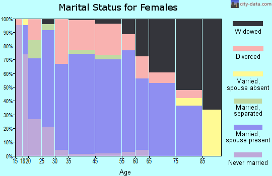Arab marital status for females
