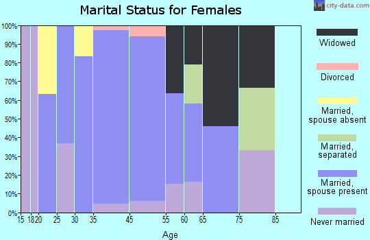 Great Meadows-Vienna marital status for females