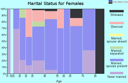 New Egypt marital status for females