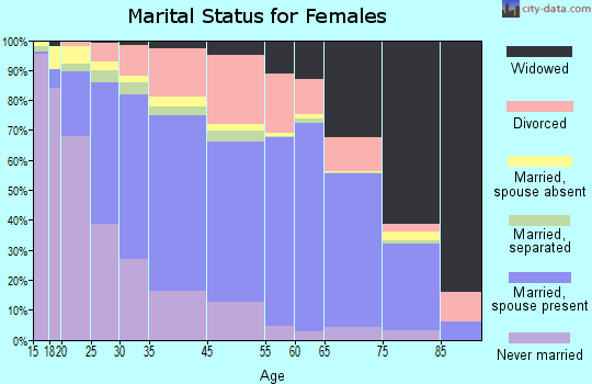 South Valley marital status for females