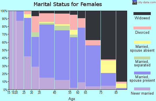 Amityville marital status for females