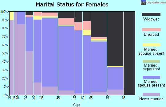 Baldwin Harbor marital status for females