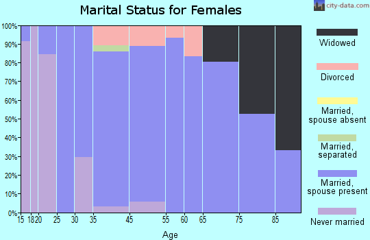 Big Flats marital status for females