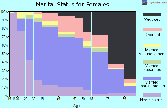 Copiague marital status for females