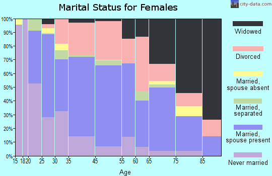 Hudson Falls marital status for females