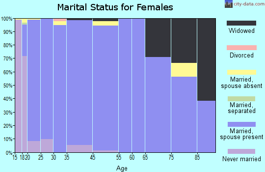 Kiryas Joel marital status for females