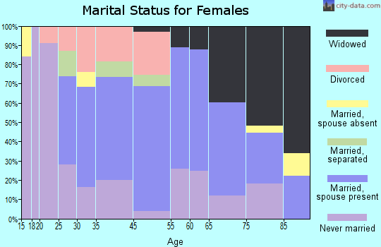 New York Mills marital status for females
