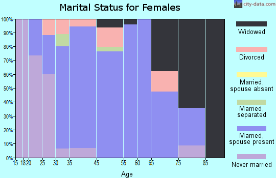 North Boston marital status for females