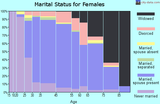 North Merrick marital status for females