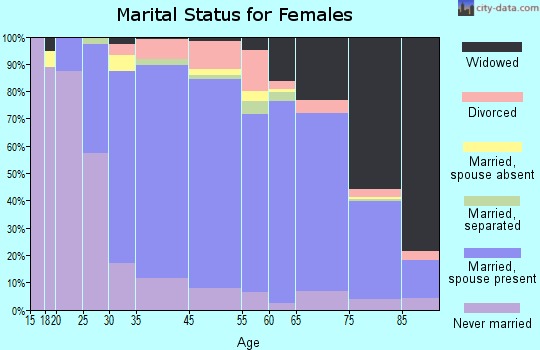 North New Hyde Park marital status for females