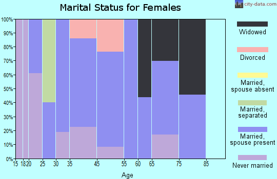 Pattersonville-Rotterdam Junction marital status for females