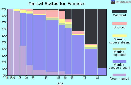 South Farmingdale marital status for females