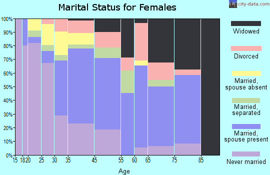South Floral Park marital status for females