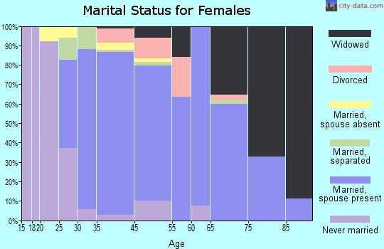 South Valley Stream marital status for females