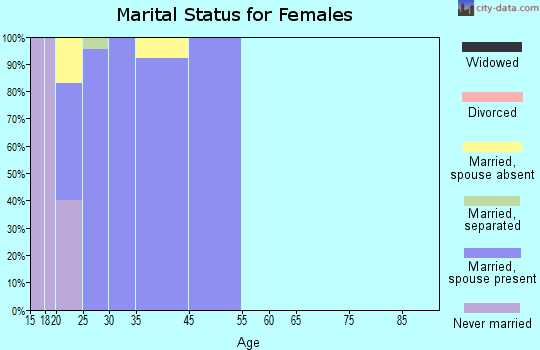 Pope AFB marital status for females