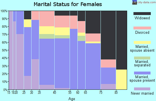 Surf City marital status for females