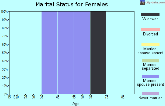 Amidon marital status for females