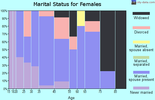 Michigan City marital status for females