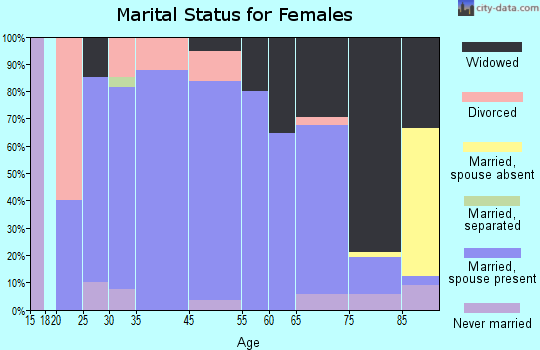 New Salem marital status for females