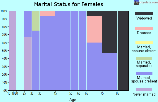 Willow City marital status for females