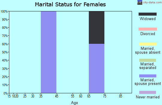 York marital status for females