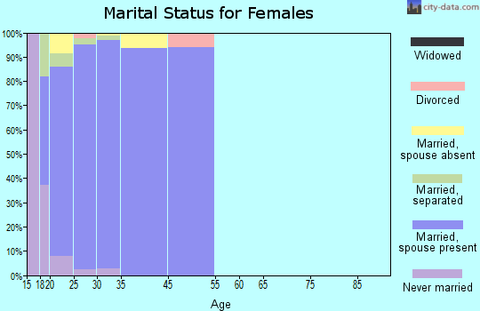 Beale AFB marital status for females
