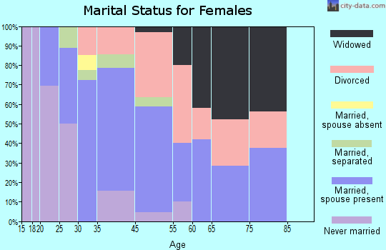 Chippewa Lake marital status for females