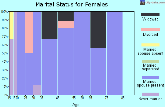 Remy marital status for females