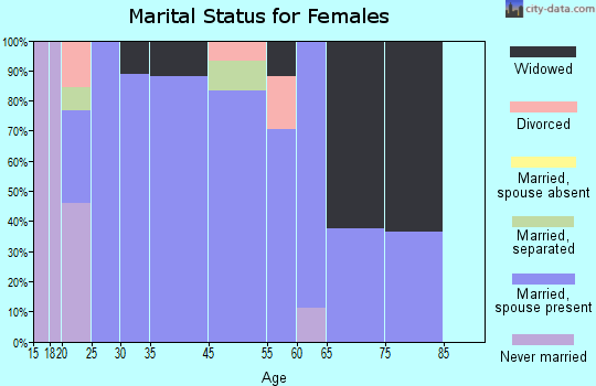 Broad Top City marital status for females