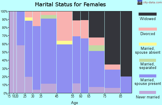 Honey Brook marital status for females
