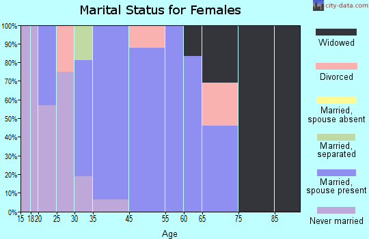 Mill Village marital status for females