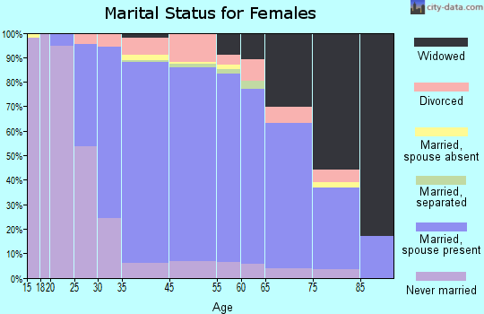 O'Hara Township marital status for females