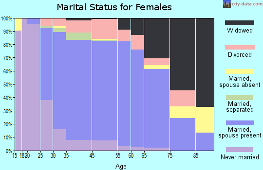 South Park Township marital status for females