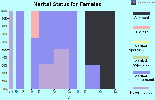 Summit Station marital status for females