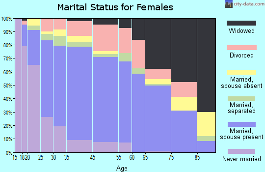 Bay City marital status for females